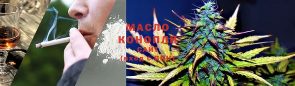 прущие грибы Балахна