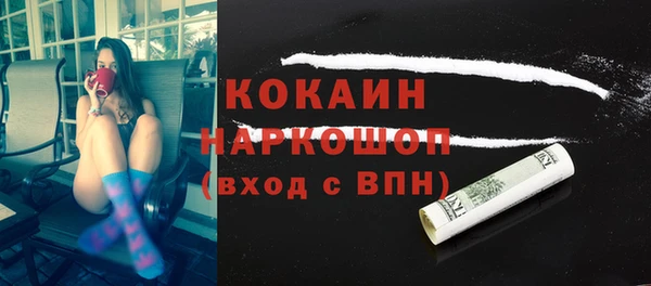 прущие грибы Балахна