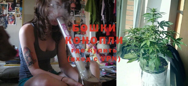 прущие грибы Балахна