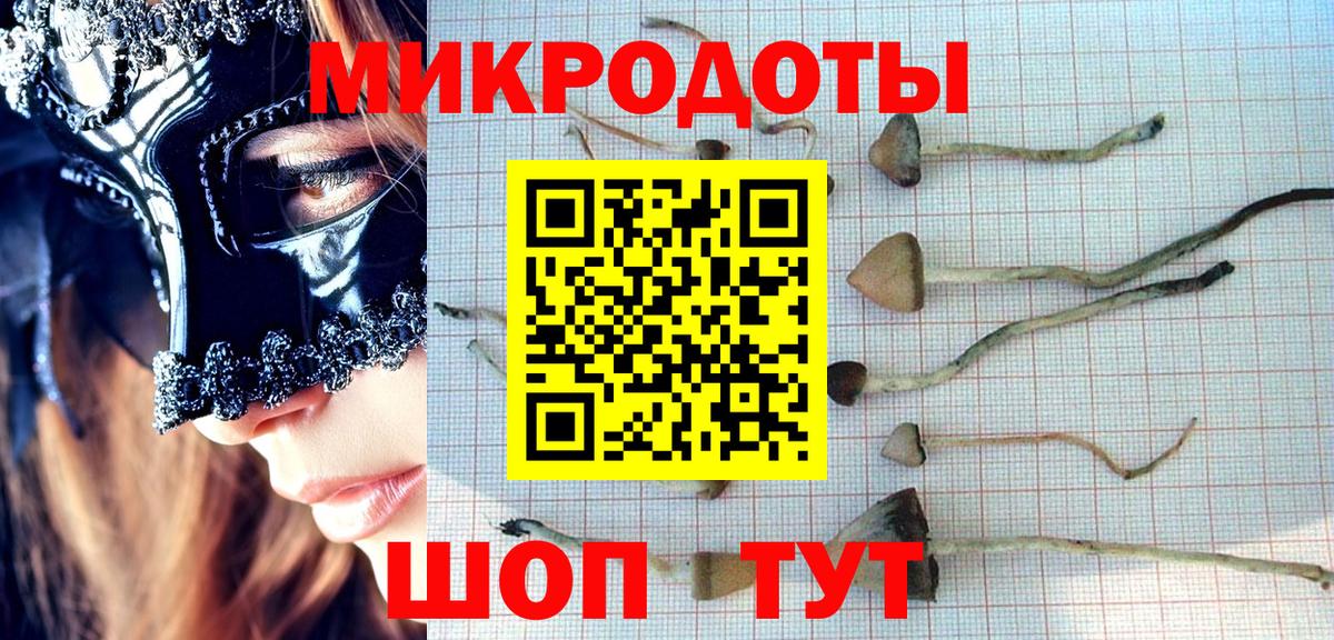 Галлюциногенные грибы Magic Shrooms Полевской