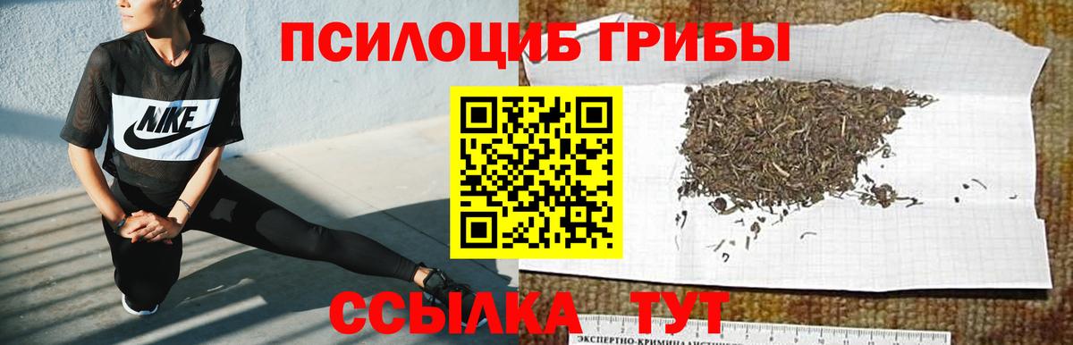 Полевской  Псилоцибиновые грибы GOLDEN TEACHER  Вход с VPN  Галлюциногенные грибы ЛСД 