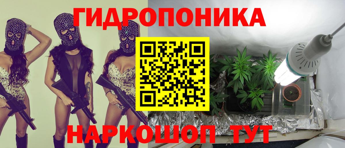 Бошки марихуана Amnesia Полевской